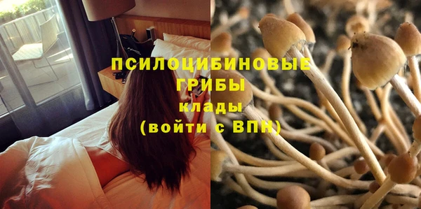 герыч Богородск
