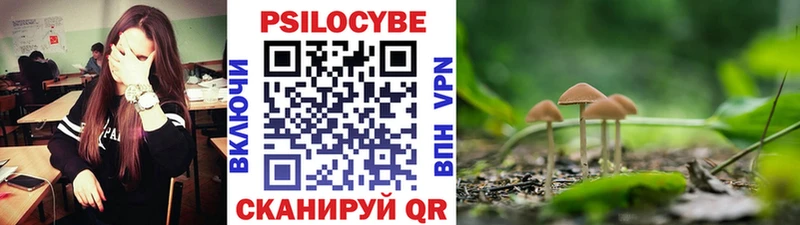 Псилоцибиновые грибы Psilocybe  Купить  Туапсе 